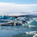 Building Resilient Businesses: Climate Change & Public Health Preparedness
