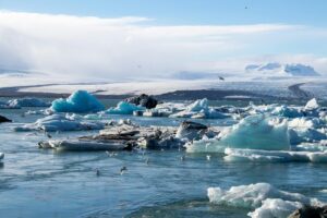 Building Resilient Businesses: Climate Change & Public Health Preparedness
