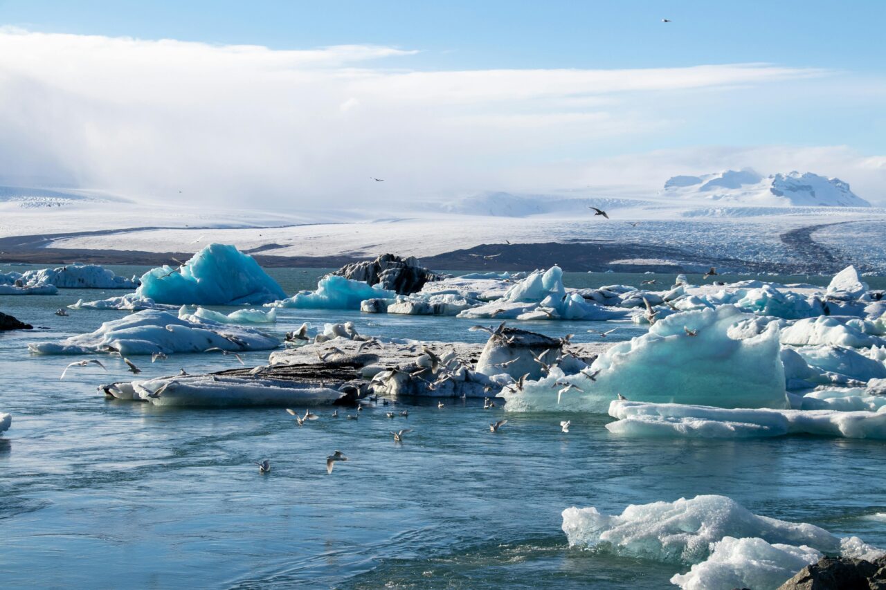 Building Resilient Businesses: Climate Change & Public Health Preparedness