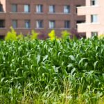 Cultivating Growth: The Promise of DIY Smart Gardens & Urban Farming